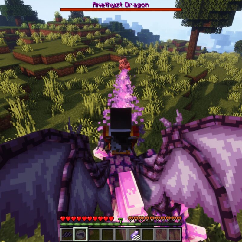 amethyst_5-800x800.jpg