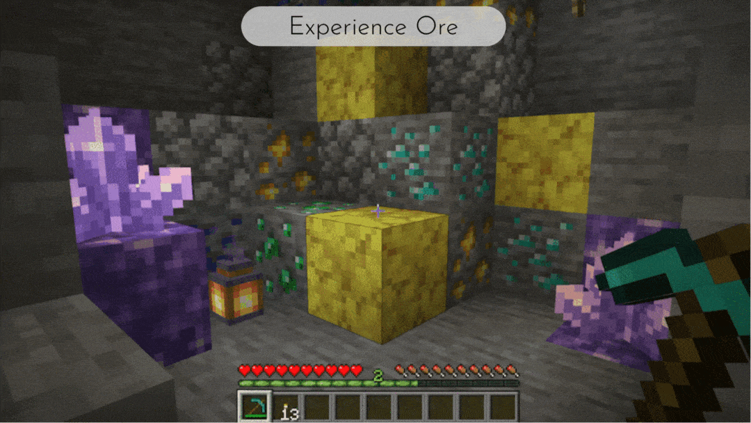 experience-ore.gif