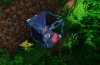 543575-23543565aefecd99b386d61f1f06d106.jpg